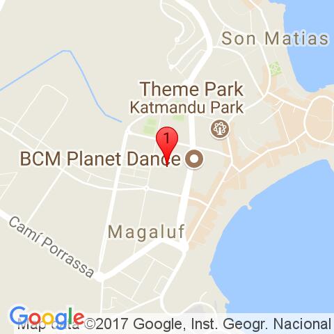 google map