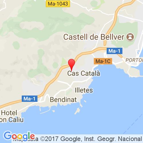 google map